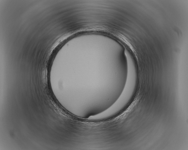 X0000112420781200909111009