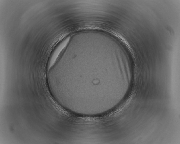 X0000112420785200909111009