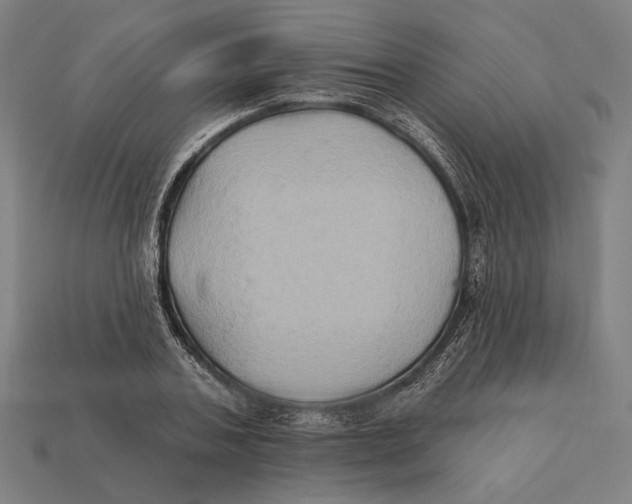 X0000112420787200909111009