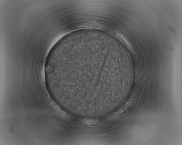 X0000112420788200909111009