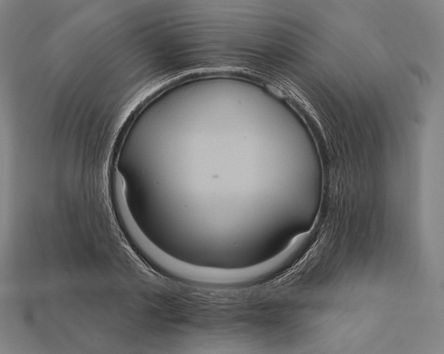 X0000112420789200909111009