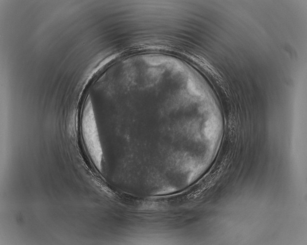 X0000112420790200909111009