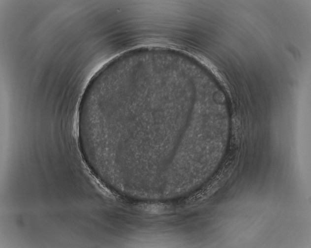 X0000112420791200909111009