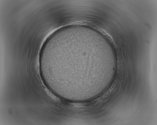 X0000112420792200909111009