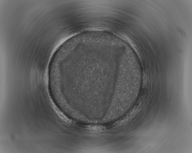 X0000112420795200909111009