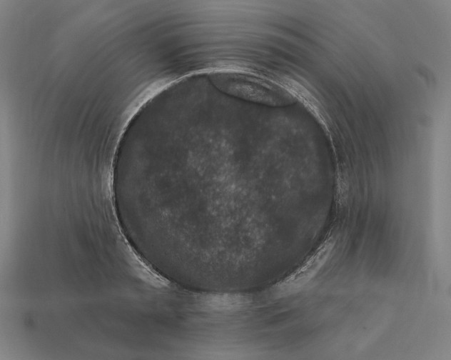 X0000112420797200909111009