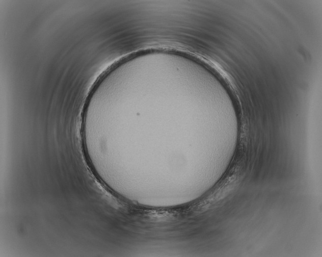 X0000112420799200909111009