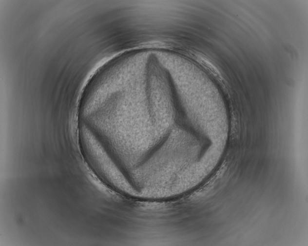 X0000112420800200909111009