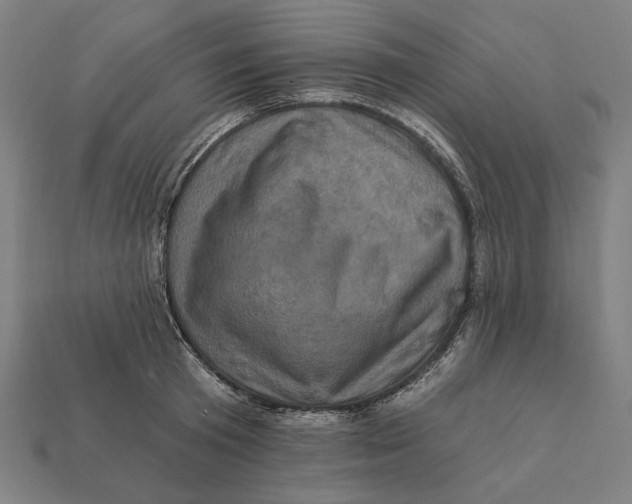 X0000112420801200909111009