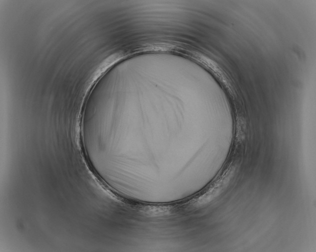 X0000112420802200909111009