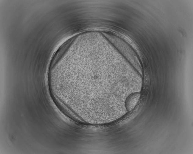 X0000112420803200909111009