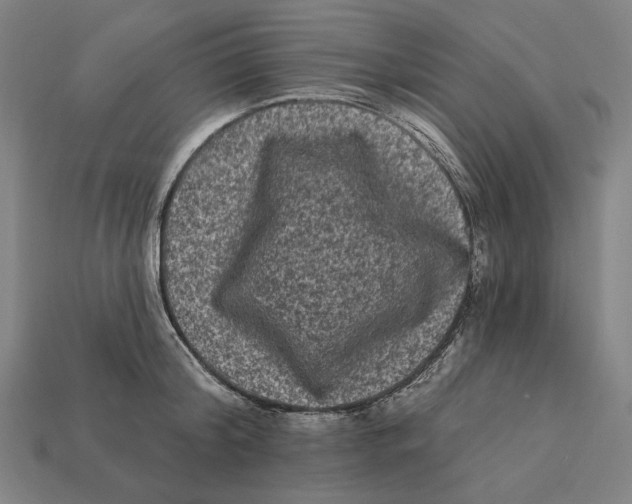 X0000112420804200909111009