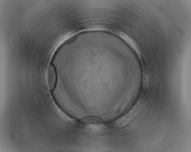 X0000112420805200909111009