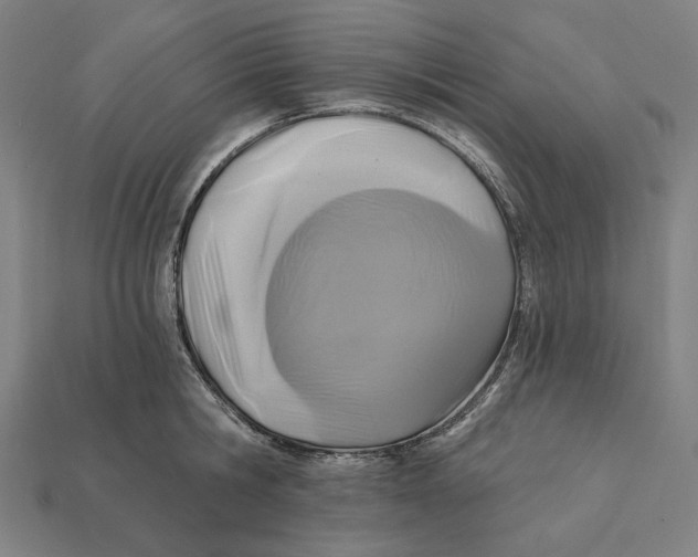 X0000112420806200909111009