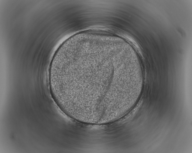 X0000112420808200909111009