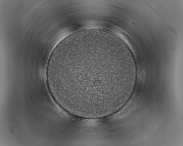 X0000112420810200909111009