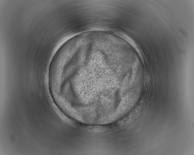 X0000112420811200909111009