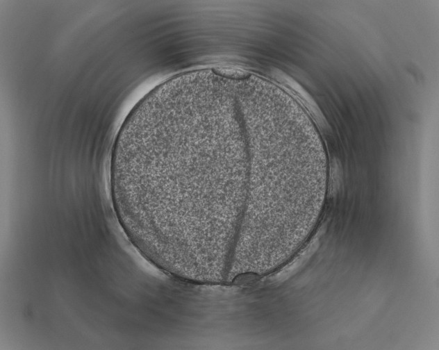 X0000112420812200909111009