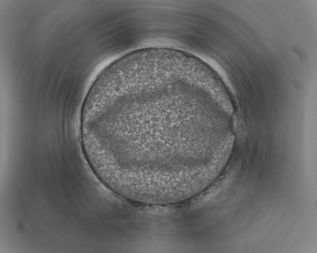 X0000112420815200909111009