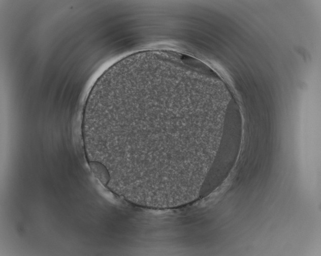 X0000112420816200909111009