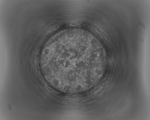 X0000112420817200909111008