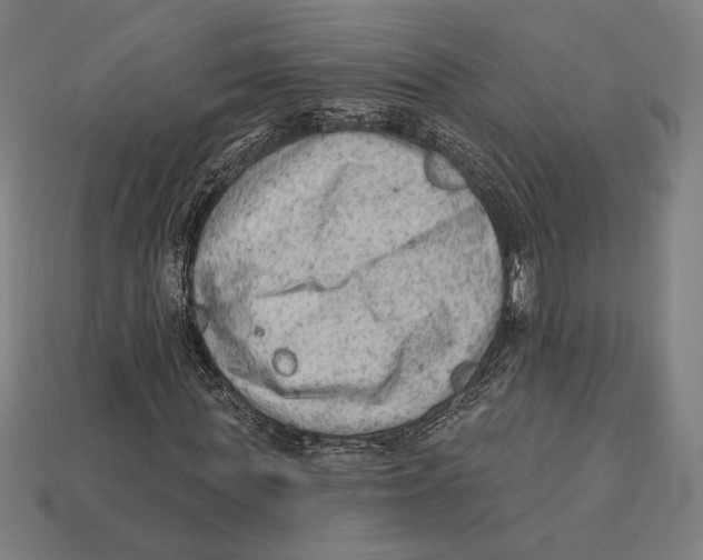 X0000112420819200909111008