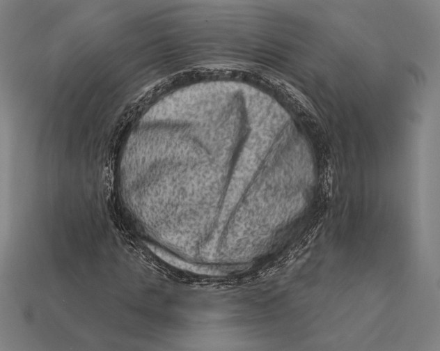 X0000112420821200909111008