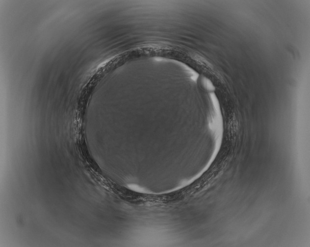 X0000112420822200909111008