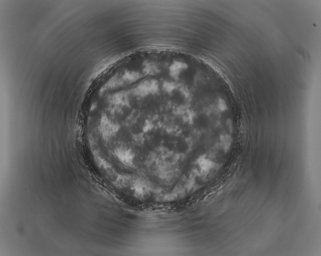 X0000112420823200909111008