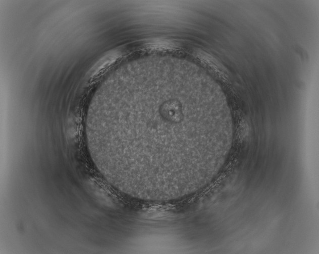 X0000112420824200909111008