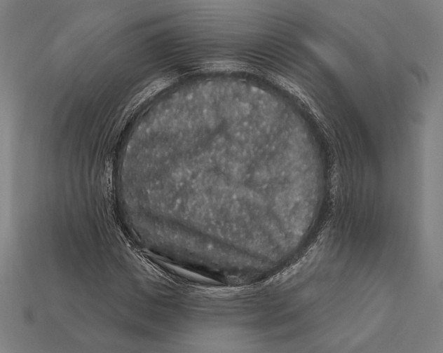 X0000112420825200909111008