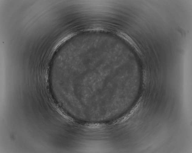 X0000112420826200909111008