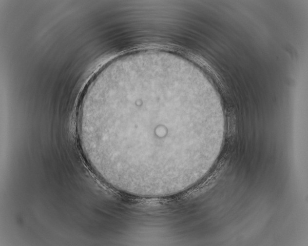 X0000112420828200909111008