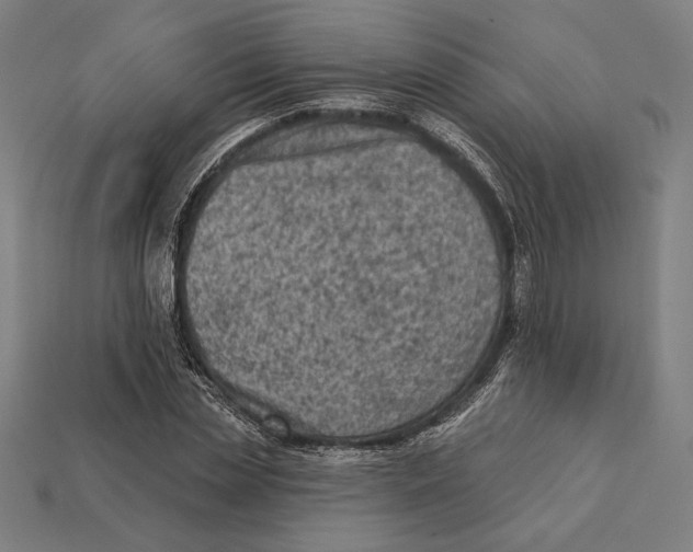 X0000112420829200909111008