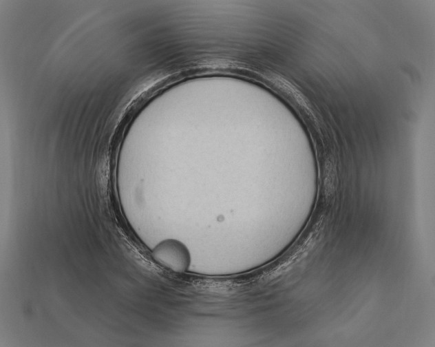 X0000112420831200909111008