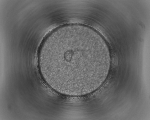 X0000112420832200909111008