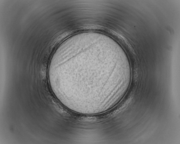 X0000112420833200909111008