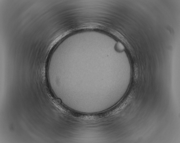 X0000112420834200909111008