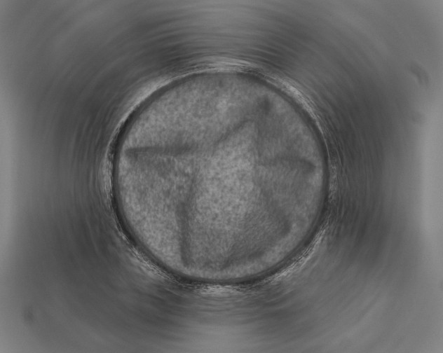 X0000112420835200909111008