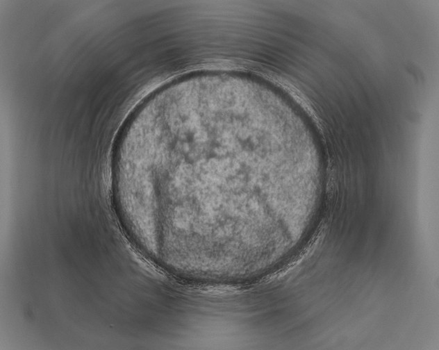 X0000112420837200909111008