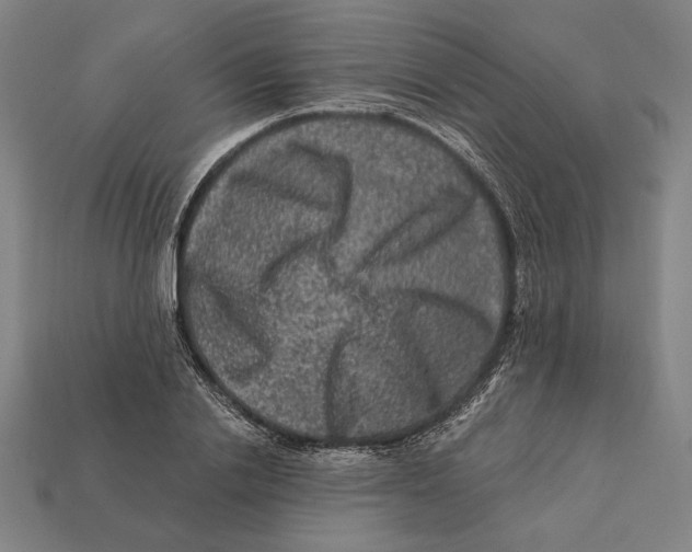 X0000112420838200909111008