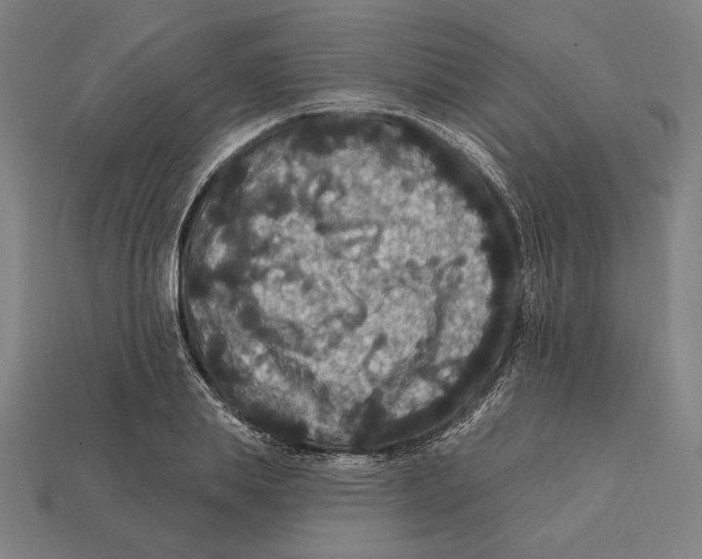 X0000112420839200909111008