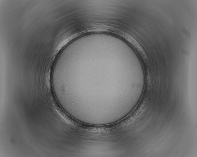 X0000112420842200909111008