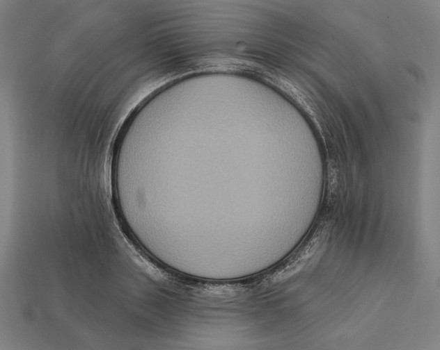 X0000112420843200909111008