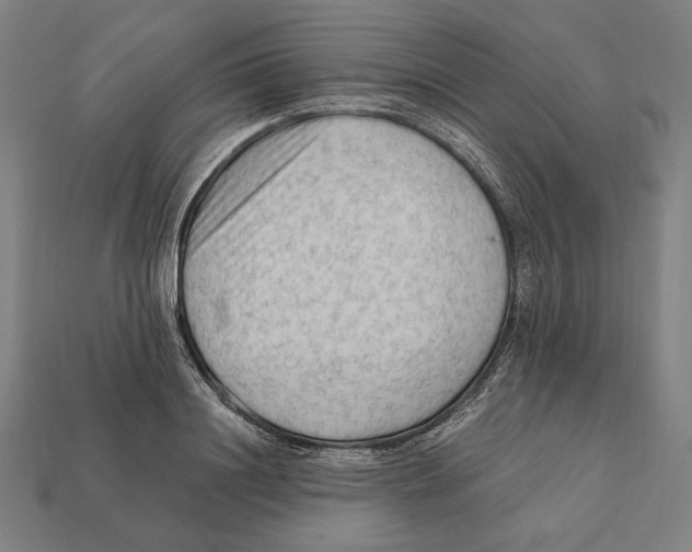 X0000112420844200909111008