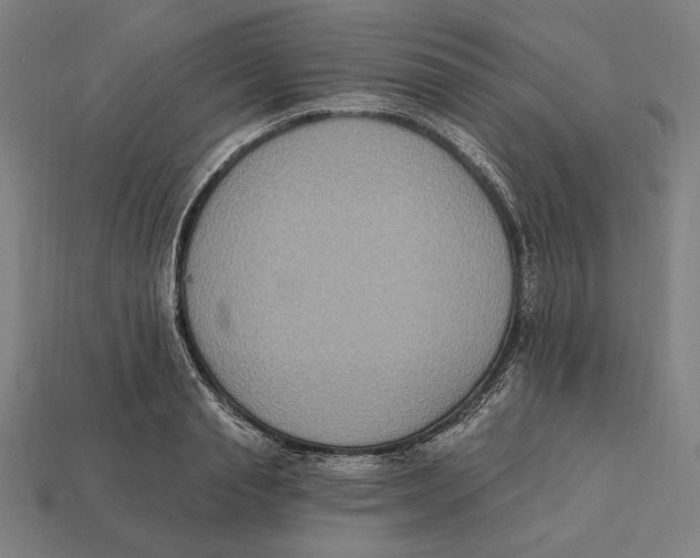 X0000112420845200909111008