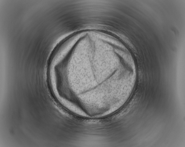 X0000112420846200909111008