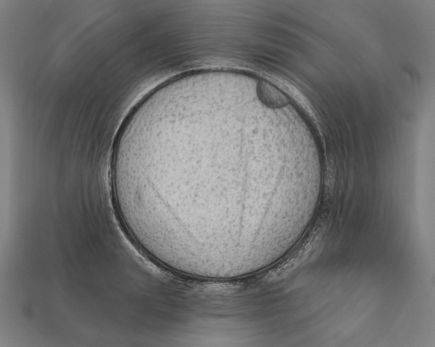 X0000112420847200909111008