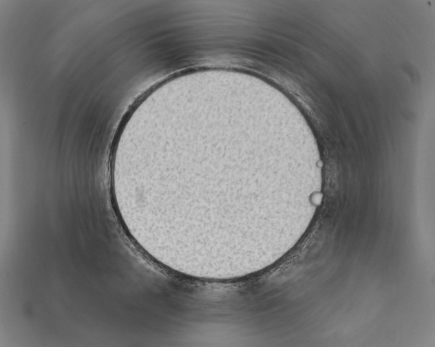 X0000112420848200909111008