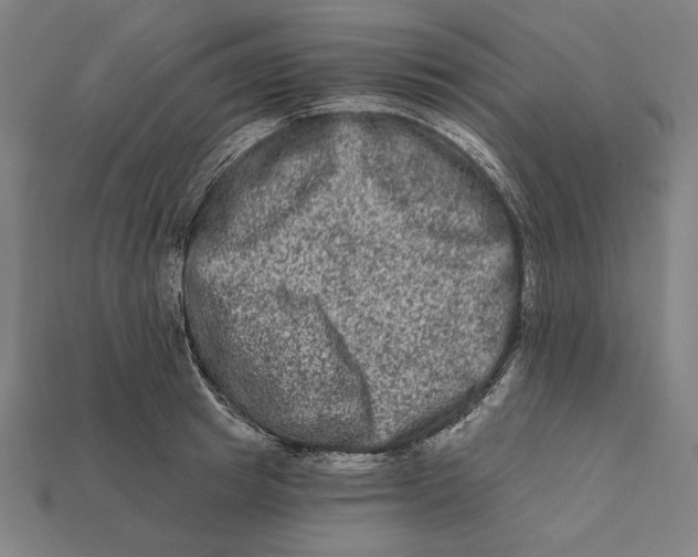 X0000112420849200909111008